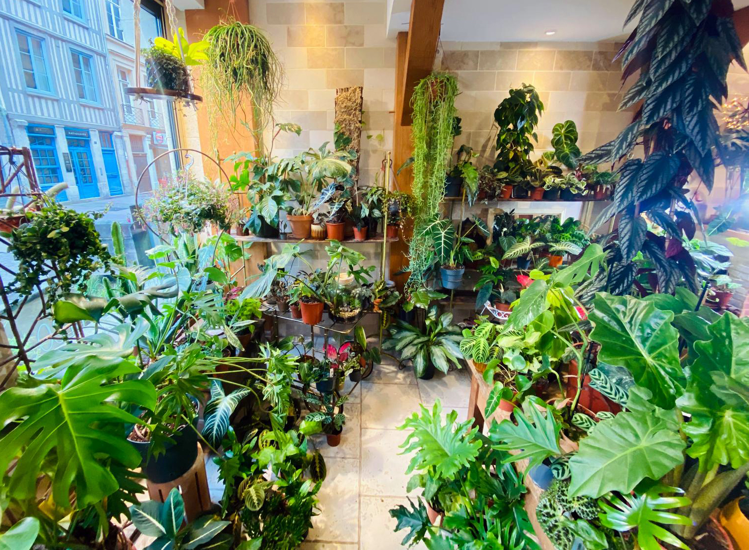 boutique 180 rue Eau de Robec Rouen